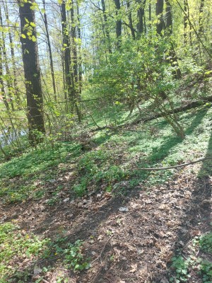 Obnova stezky pod břehem Palackého