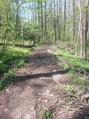 Obnova stezky pod břehem Palackého