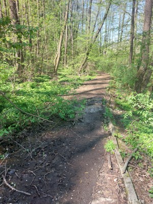 Obnova stezky pod břehem Palackého