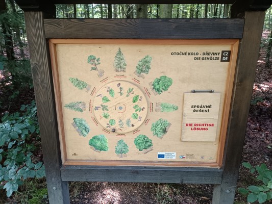 Věž poznání a vzdělávací prvky v lesoparku