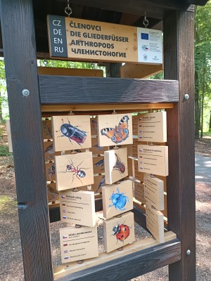 Věž poznání a vzdělávací prvky v lesoparku