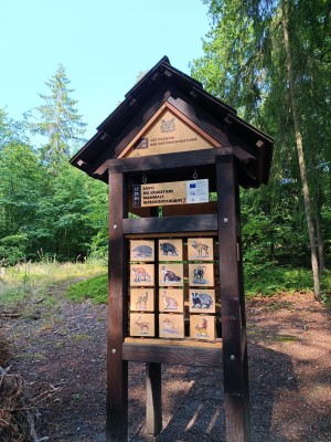 Věž poznání a vzdělávací prvky v lesoparku