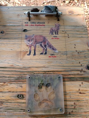 Věž poznání a vzdělávací prvky v lesoparku