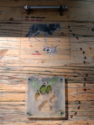 Věž poznání a vzdělávací prvky v lesoparku