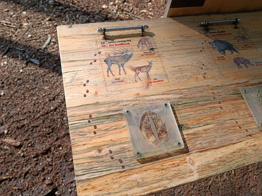 Věž poznání a vzdělávací prvky v lesoparku