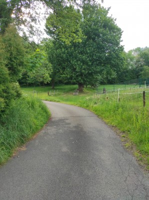 Zrcadlo v Oldřichovicích