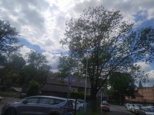 Výměna veřejného osvětlení trinec