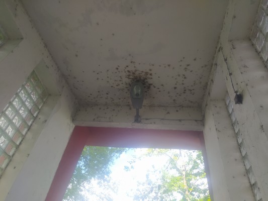 Výměna veřejného osvětlení trinec