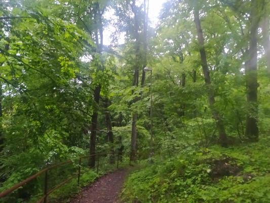 Výměna veřejného osvětlení trinec