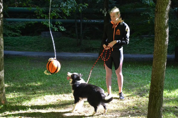 Agility hřiště pro psy