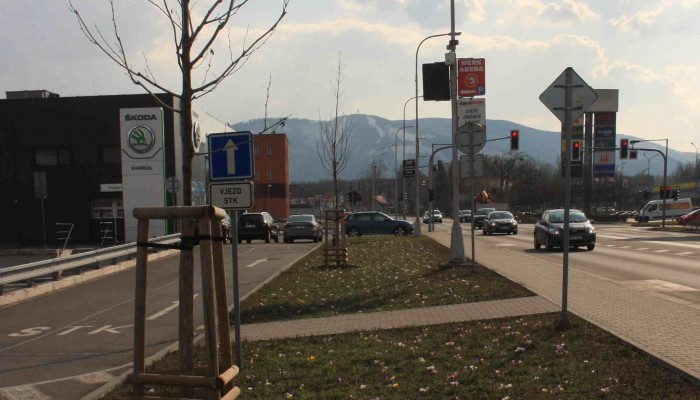 Revitalizace zeleně na ul. Frýdecká, Třinec - spolupráce s TŽ, a.s.