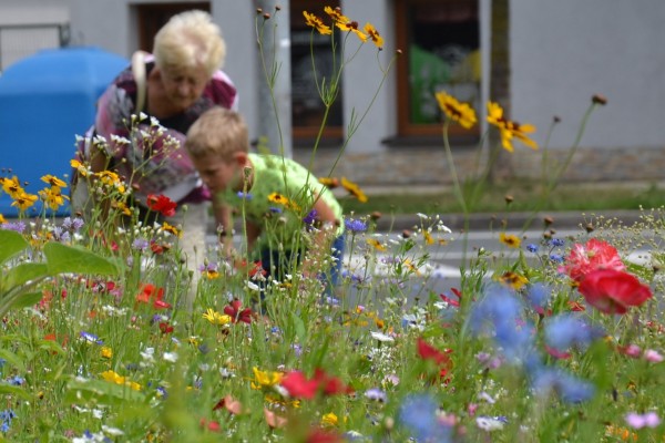 Adaptační strategie na změnu klimatu města Třince