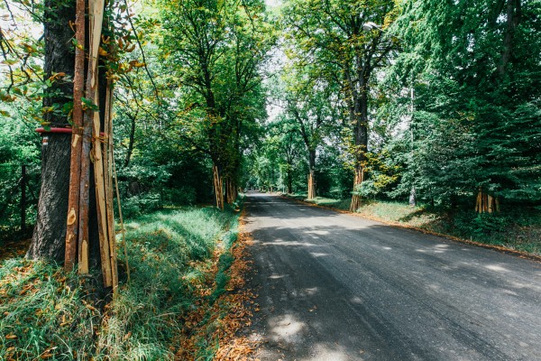 Snímek z výstavby - červenec 2022